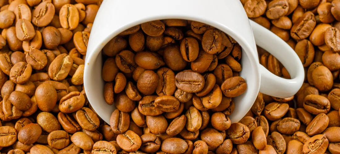 coffee-roast-flavpur