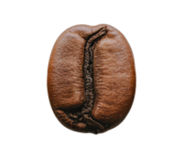 Whole Bean Coffee -Arabica Bean