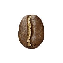 Whole Bean
